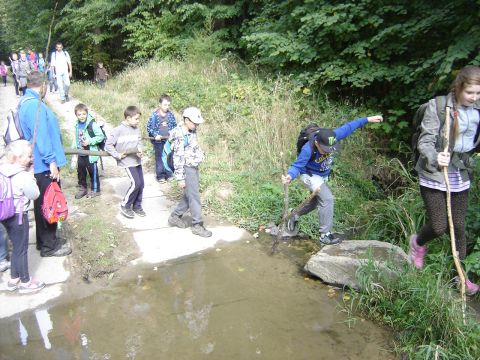 XXVIII Rajd Wzg�rz Strzeli�skich - Biskupi Las s070 - PTTK Strzelin