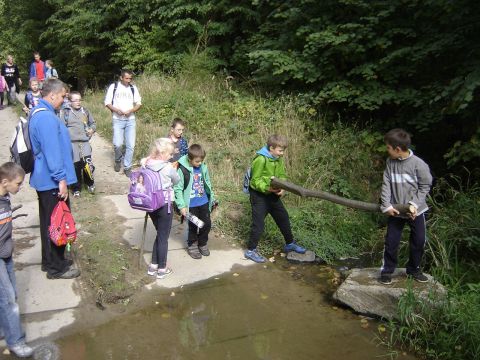 XXVIII Rajd Wzg�rz Strzeli�skich - Biskupi Las s071 - PTTK Strzelin