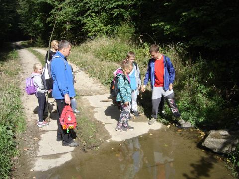 XXVIII Rajd Wzg�rz Strzeli�skich - Biskupi Las s074 - PTTK Strzelin