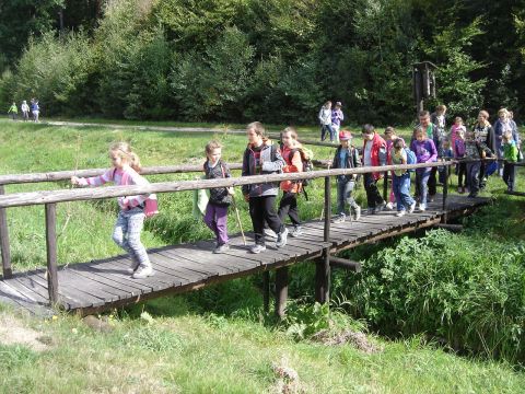 XXVIII Rajd Wzg�rz Strzeli�skich - Biskupi Las s075 - PTTK Strzelin