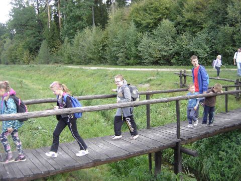 XXVIII Rajd Wzg�rz Strzeli�skich - Biskupi Las s079 - PTTK Strzelin