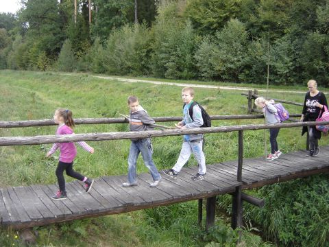 XXVIII Rajd Wzg�rz Strzeli�skich - Biskupi Las s080 - PTTK Strzelin