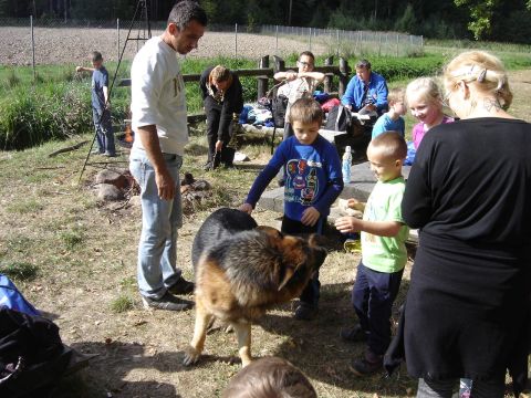 XXVIII Rajd Wzg�rz Strzeli�skich - Biskupi Las s083 - PTTK Strzelin