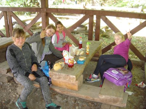 XXVIII Rajd Wzg�rz Strzeli�skich - Biskupi Las s087 - PTTK Strzelin