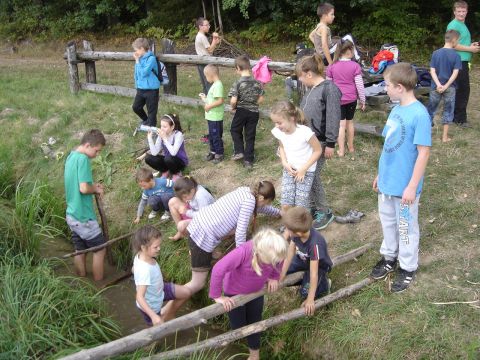 XXVIII Rajd Wzg�rz Strzeli�skich - Biskupi Las s093 - PTTK Strzelin