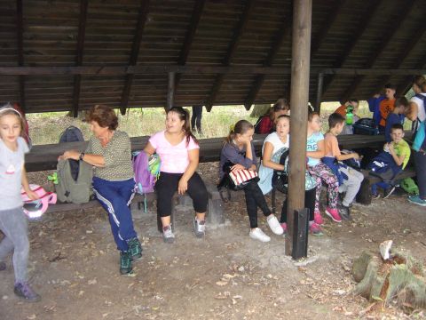 W drodze na Gromnik s009 - PTTK Strzelin