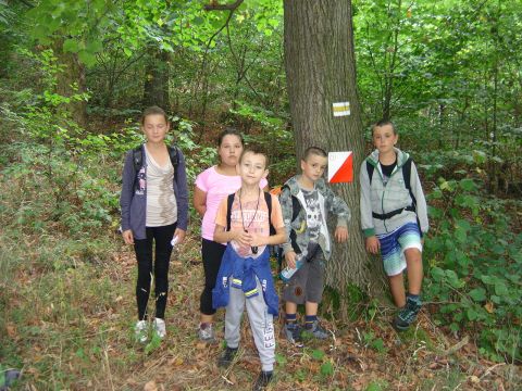 W drodze na Gromnik s035 - PTTK Strzelin