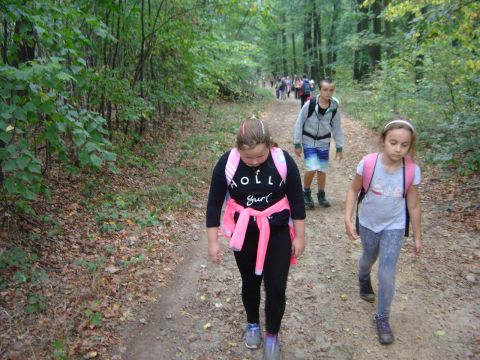 W drodze na Gromnik s045 - PTTK Strzelin