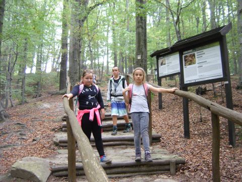 Zej�cie na Rozdro�e pod Gromnikiem s046 - PTTK Strzelin