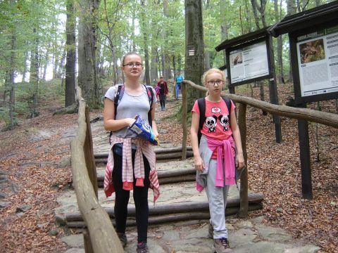 Zej�cie na Rozdro�e pod Gromnikiem s047 - PTTK Strzelin