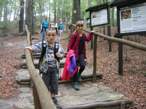 Zej�cie na Rozdro�e pod Gromnikiem s048 - PTTK Strzelin