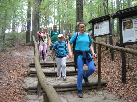 Zej�cie na Rozdro�e pod Gromnikiem s049 - PTTK Strzelin