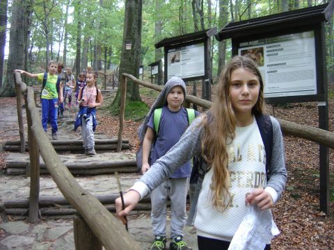 Zej�cie na Rozdro�e pod Gromnikiem s051 - PTTK Strzelin