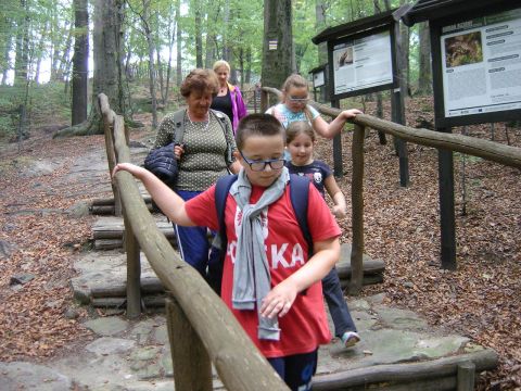 Zej�cie na Rozdro�e pod Gromnikiem s053 - PTTK Strzelin