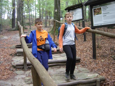 Zej�cie na Rozdro�e pod Gromnikiem s055 - PTTK Strzelin