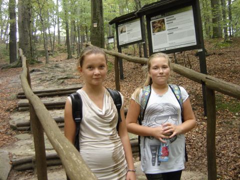 Zej�cie na Rozdro�e pod Gromnikiem s056 - PTTK Strzelin