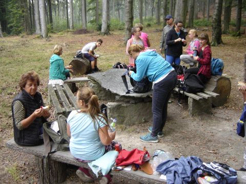 Rozdro�e pod Gromnikiem s064 - PTTK Strzelin