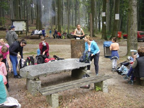 Rozdro�e pod Gromnikiem s065 - PTTK Strzelin