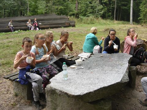 Rozdro�e pod Gromnikiem s067 - PTTK Strzelin