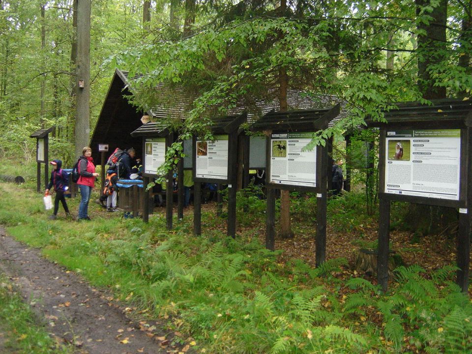 XXX Rajd Wzgórz Strzelińskich s002 - PTTK Strzelin