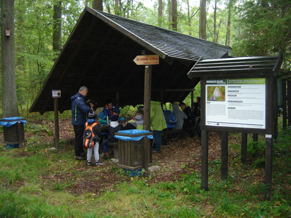 XXX Rajd Wzgórz Strzelińskich s002 - PTTK Strzelin