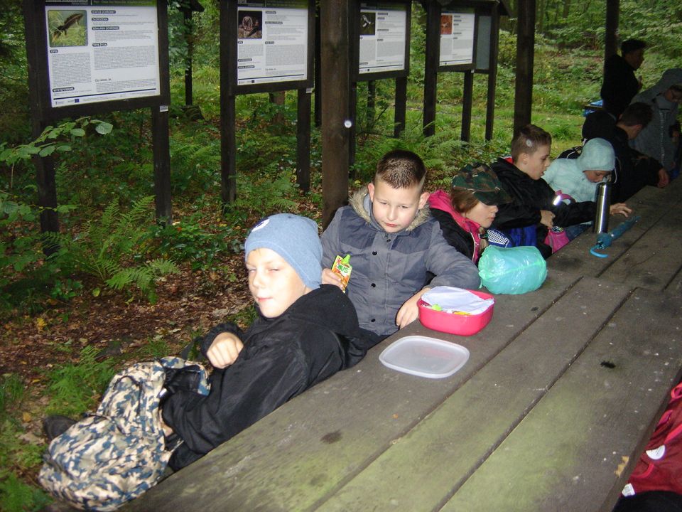 XXX Rajd Wzgórz Strzelińskich s002 - PTTK Strzelin