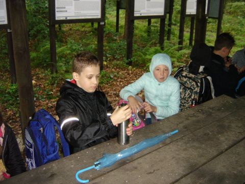 XXX Rajd Wzgórz Strzelińskich s16 - PTTK Strzelin