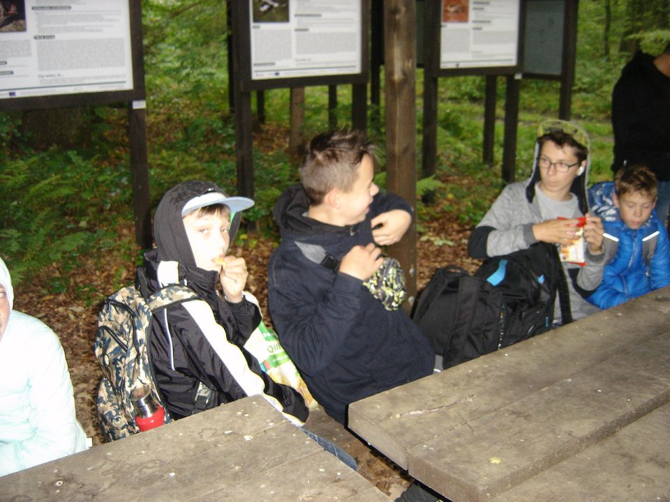 XXX Rajd Wzgórz Strzelińskich s002 - PTTK Strzelin