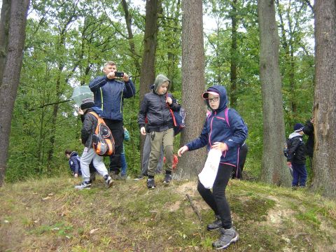 XXX Rajd Wzgórz Strzelińskich s21 - PTTK Strzelin