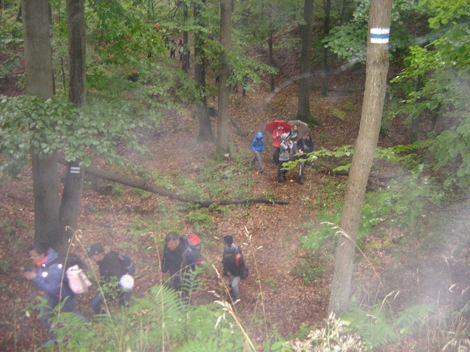 XXX Rajd Wzgórz Strzelińskich s002 - PTTK Strzelin