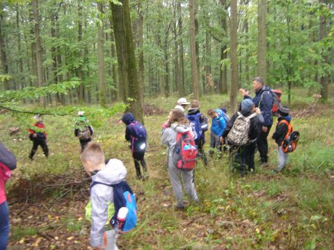 XXX Rajd Wzgórz Strzelińskich s36 - PTTK Strzelin