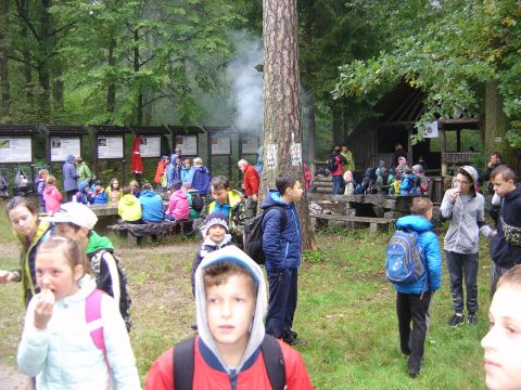 XXX Rajd Wzgórz Strzelińskich s51 - PTTK Strzelin