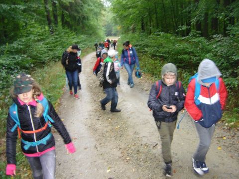 XXX Rajd Wzgórz Strzelińskich s53 - PTTK Strzelin