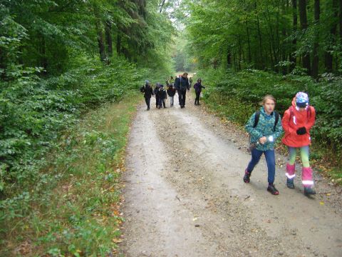 XXX Rajd Wzgórz Strzelińskich s54 - PTTK Strzelin