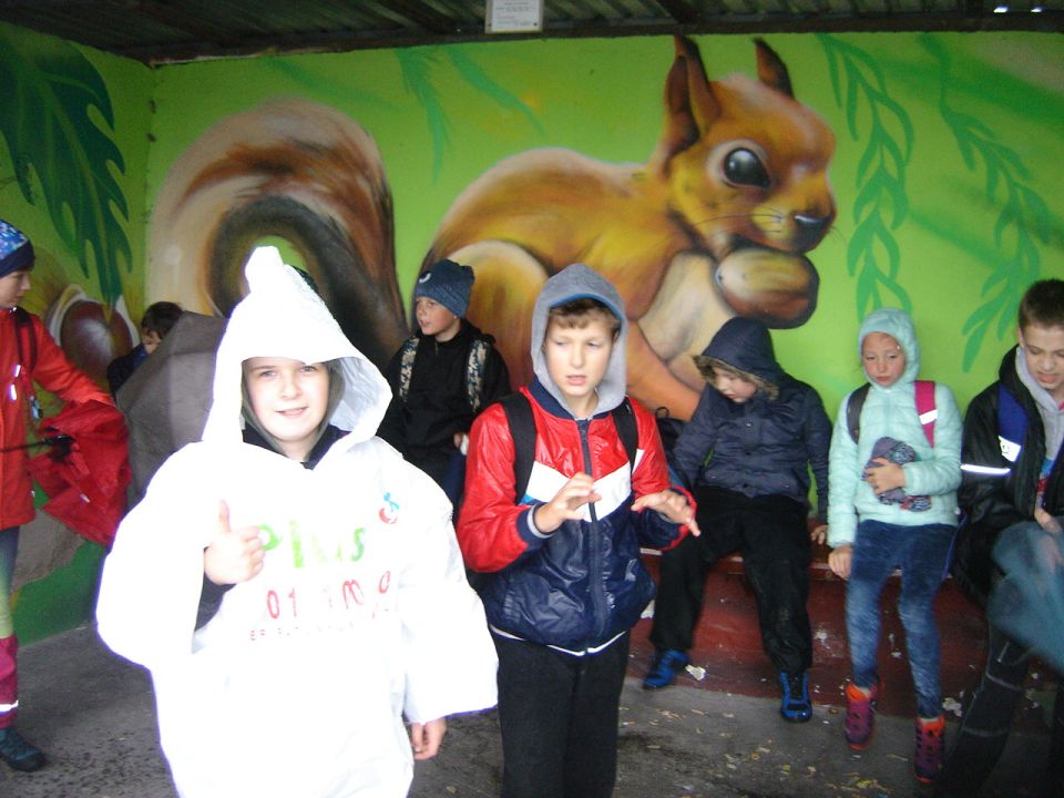 XXX Rajd Wzgórz Strzelińskich s002 - PTTK Strzelin