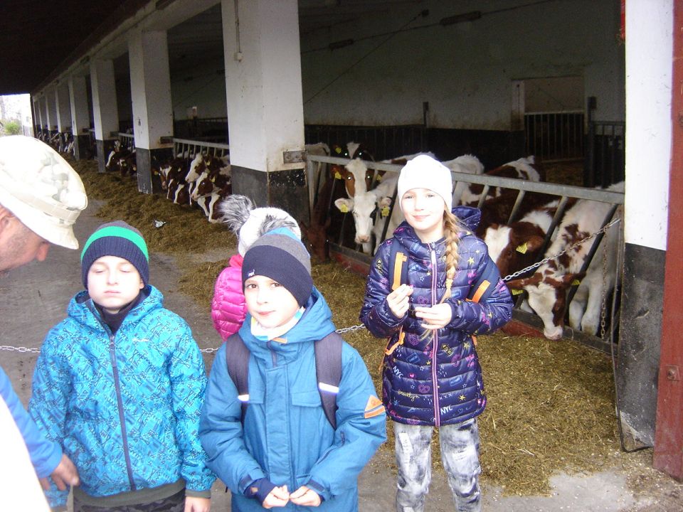 XXXII Rajd Wzgórz Strzelińskich s002 - PTTK Strzelin