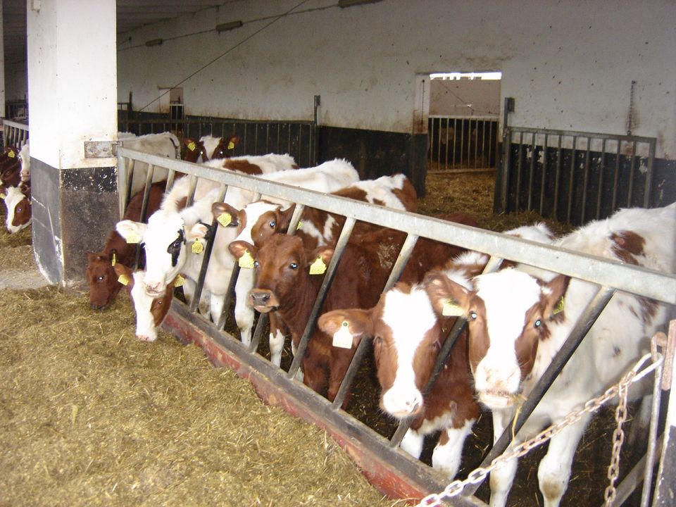 XXXII Rajd Wzgórz Strzelińskich s002 - PTTK Strzelin