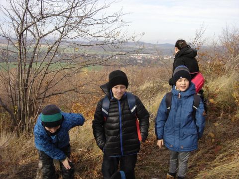 XXXII Rajd Wzgórz Strzelińskich s26 - PTTK Strzelin