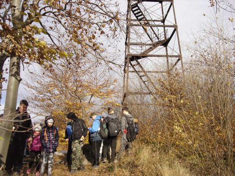 XXXII Rajd Wzgórz Strzelińskich s28 - PTTK Strzelin