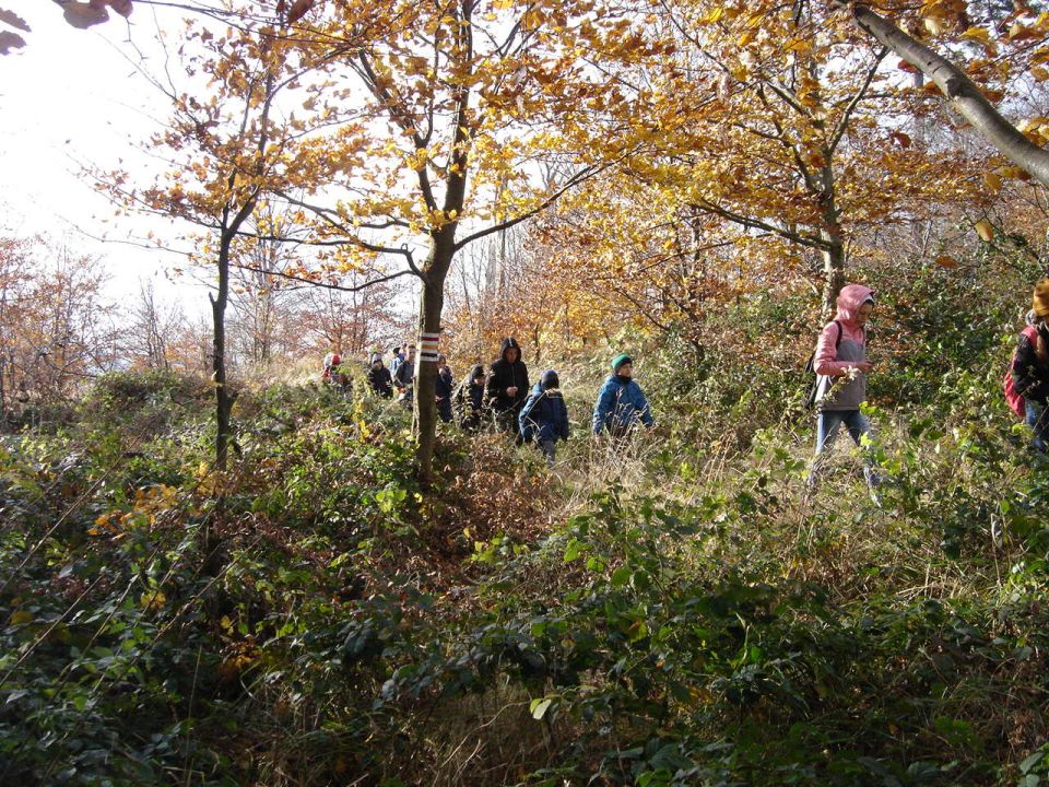 XXXII Rajd Wzgórz Strzelińskich s002 - PTTK Strzelin