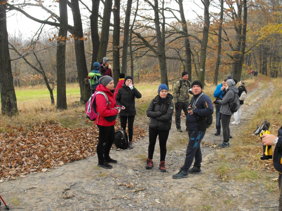 XXXIV Rajd Wzgórz Strzelińskich s002 - PTTK Strzelin