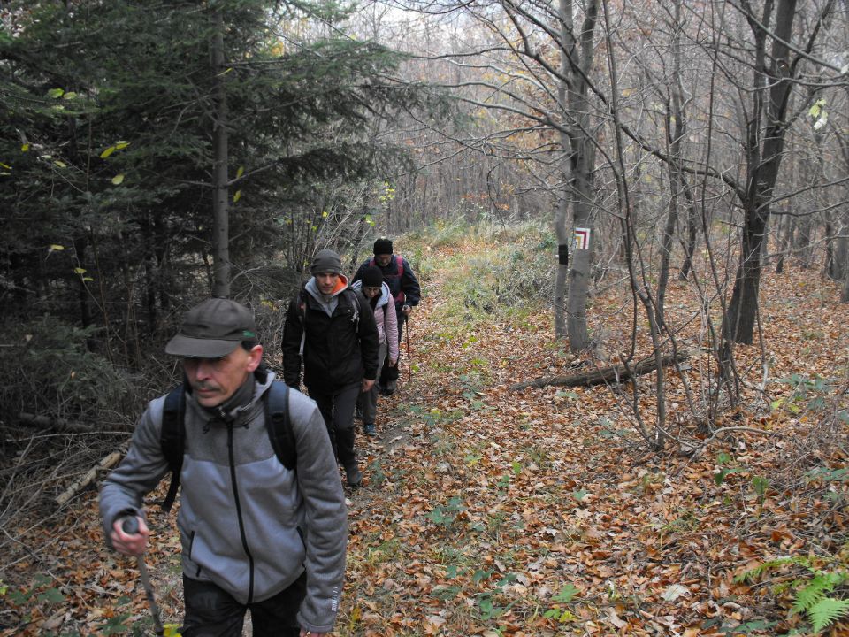 XXXIV Rajd Wzgórz Strzelińskich s002 - PTTK Strzelin