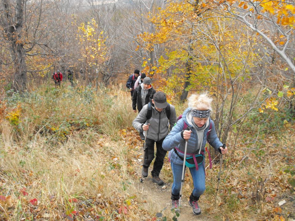 XXXIV Rajd Wzgórz Strzelińskich s002 - PTTK Strzelin
