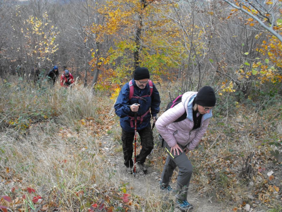 XXXIV Rajd Wzgórz Strzelińskich s002 - PTTK Strzelin