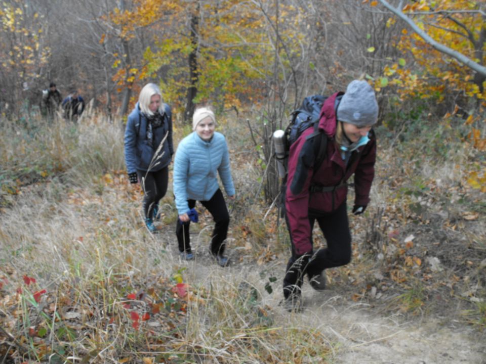 XXXIV Rajd Wzgórz Strzelińskich s002 - PTTK Strzelin