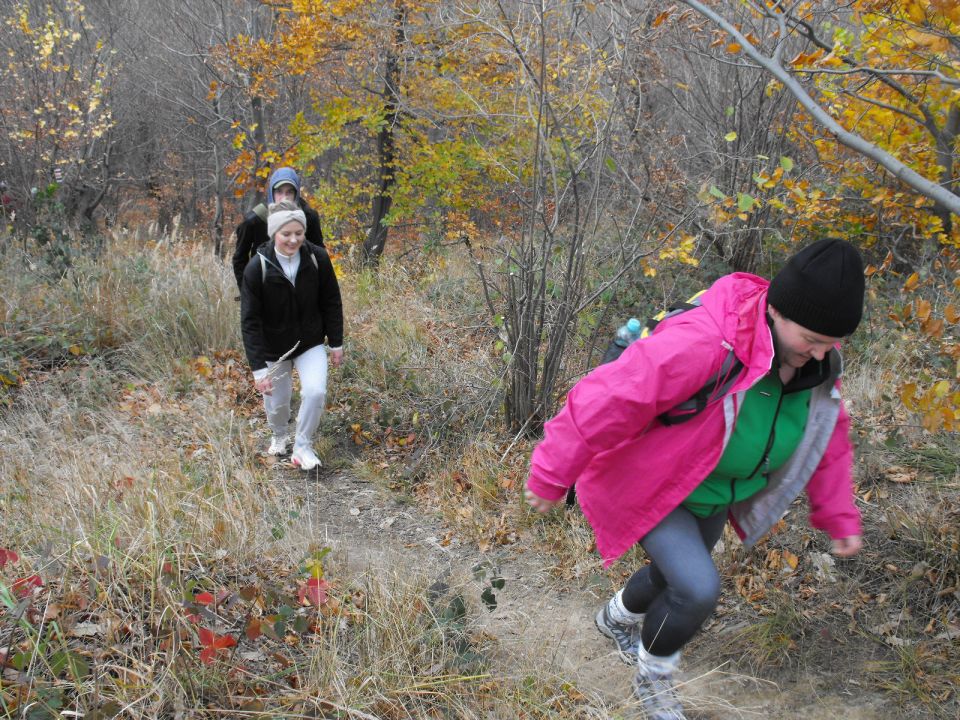 XXXIV Rajd Wzgórz Strzelińskich s002 - PTTK Strzelin