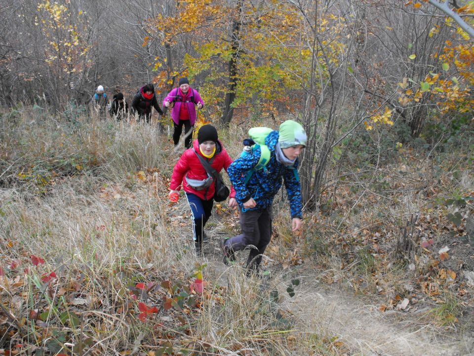 XXXIV Rajd Wzgórz Strzelińskich s002 - PTTK Strzelin