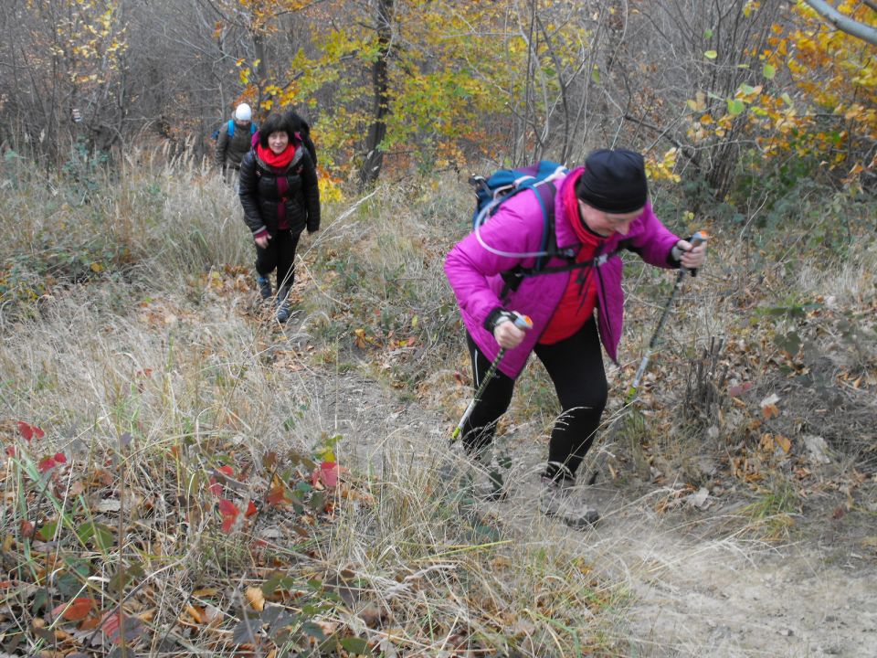 XXXIV Rajd Wzgórz Strzelińskich s002 - PTTK Strzelin