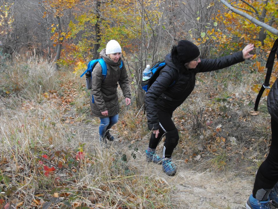 XXXIV Rajd Wzgórz Strzelińskich s002 - PTTK Strzelin