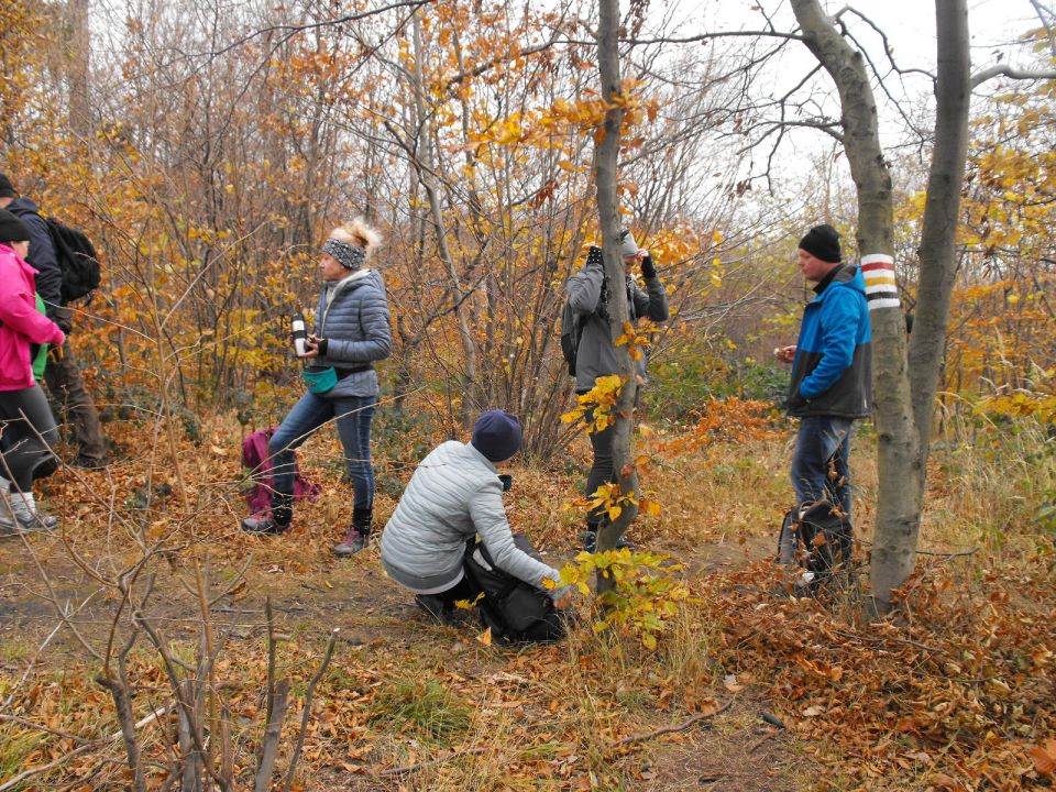 XXXIV Rajd Wzgórz Strzelińskich s002 - PTTK Strzelin